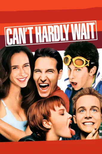 Çılgın Parti İndir posteri
