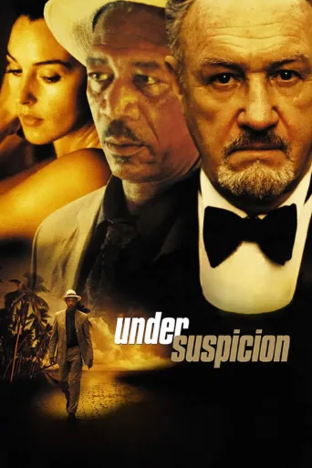 Suçlu Kim? İndir posteri