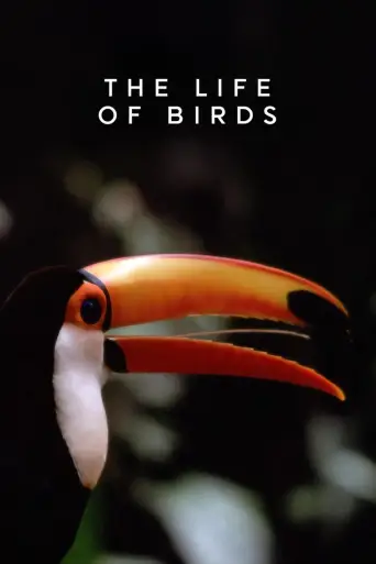 The Life of Birds İndir posteri