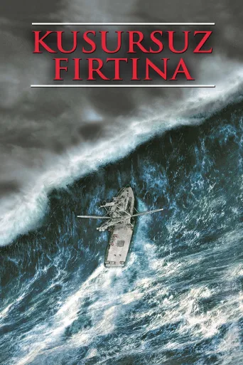 Kusursuz Fırtına İndir posteri