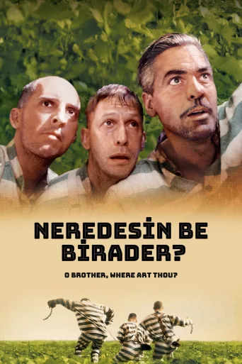 Neredesin Be Birader? İndir posteri