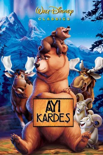 Ayı Kardeş İndir posteri