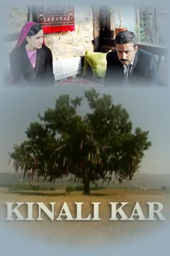 Kınalı Kar İndir posteri