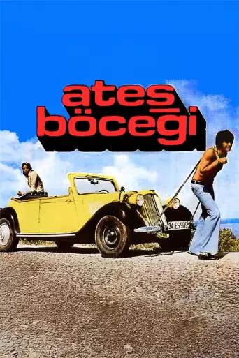 Ateş Böceği posteri