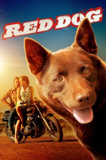 Kırmızı Köpek İndir posteri