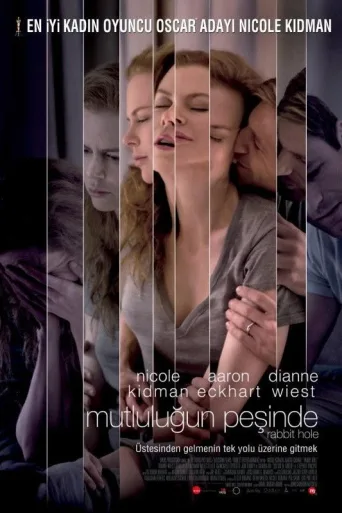 Mutluluğun Peşinde İndir posteri