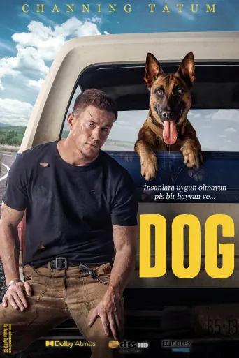Dog İndir posteri