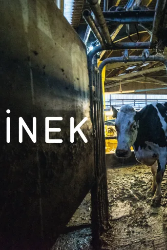 İnek İndir posteri