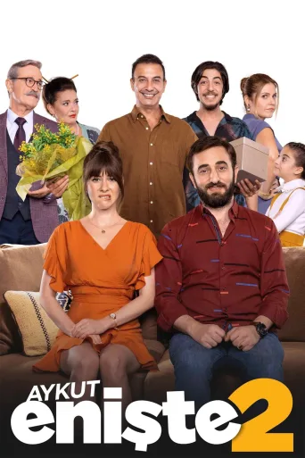 Aykut Enişte 2 İndir posteri