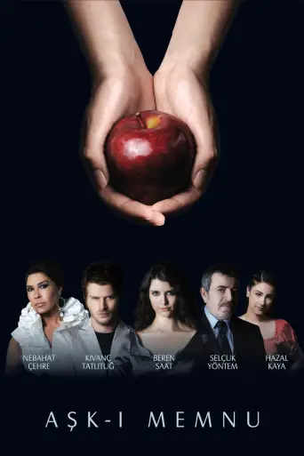 Aşk-ı Memnu posteri