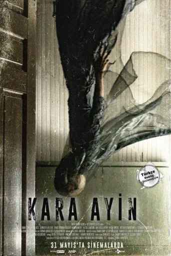 Kara Ayin İndir posteri