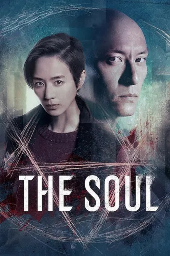 The Soul İndir posteri