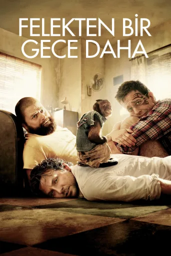 Felekten Bir Gece 2 İndir posteri