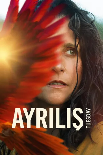 Ayrılış İndir posteri