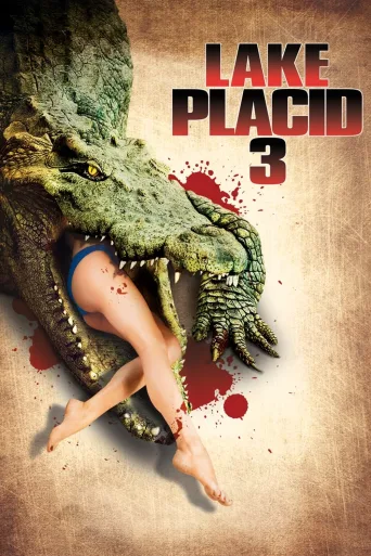 Kara Göl 3 İndir posteri