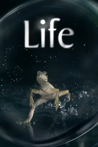 Life posteri