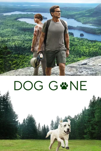 Kayıp Köpek İndir posteri