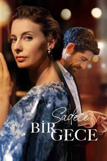 Sadece Bir Gece İndir posteri