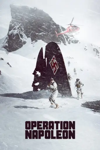 Napolyon Operasyonu posteri