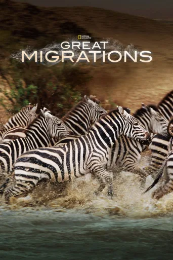 Great Migrations 1080p İndir posteri