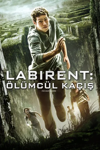 Labirent: Ölümcül Kaçış İndir