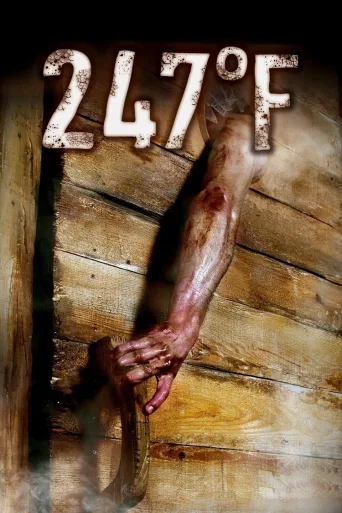 247°F İndir posteri