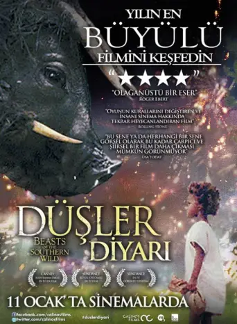 Düşler Diyarı posteri
