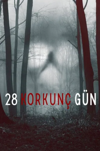28 Days Haunted İndir posteri