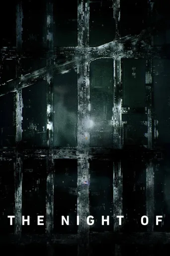 The Night Of 1080p İndir posteri