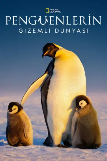 Penguenlerin Gizemli Dünyası 1080p Dual İndir posteri