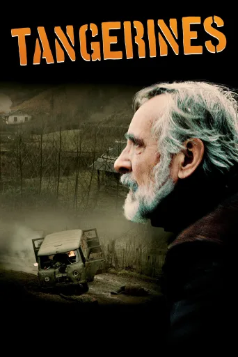 Mandalina Bahçesi İndir posteri