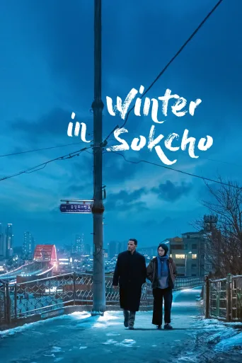 Hiver à Sokcho İndir posteri