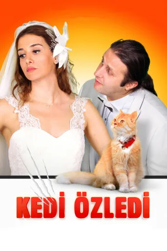 Kedi Özledi İndir