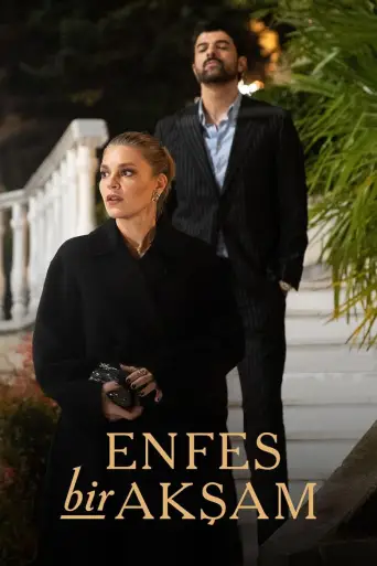 Enfes Bir Akşam posteri
