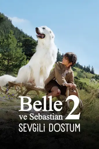 Sebastian Sevgili Dostum