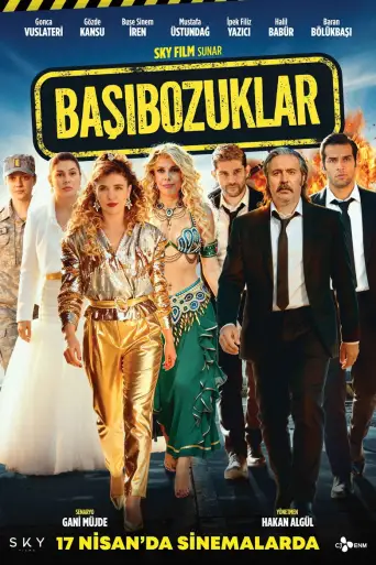 Başıbozuklar posteri