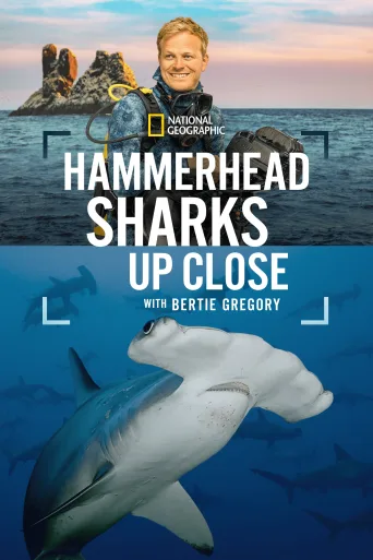 Hammerhead Sharks Up Close with Bertie Gregory İndir