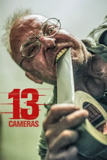 13 Cameras İndir