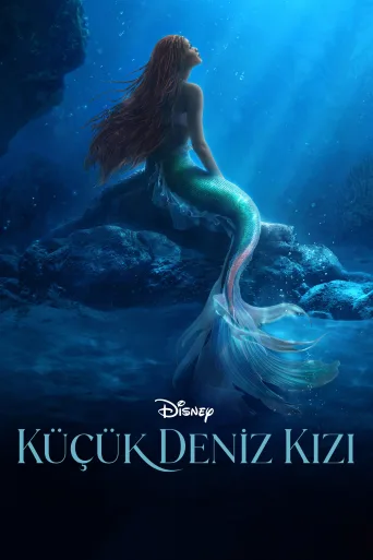 Küçük Deniz Kızı İndir posteri