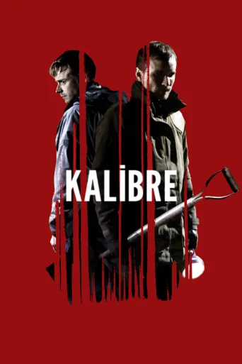 Kalibre İndir posteri