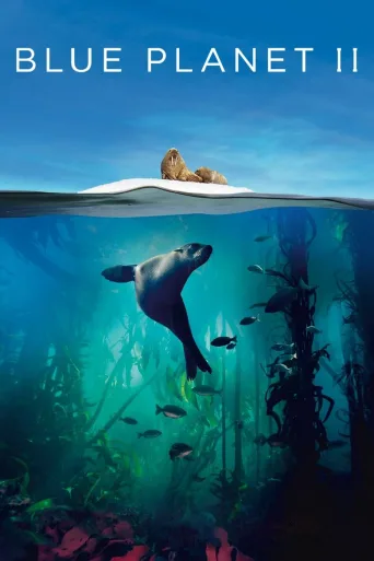 Blue Planet II 4K İndir posteri