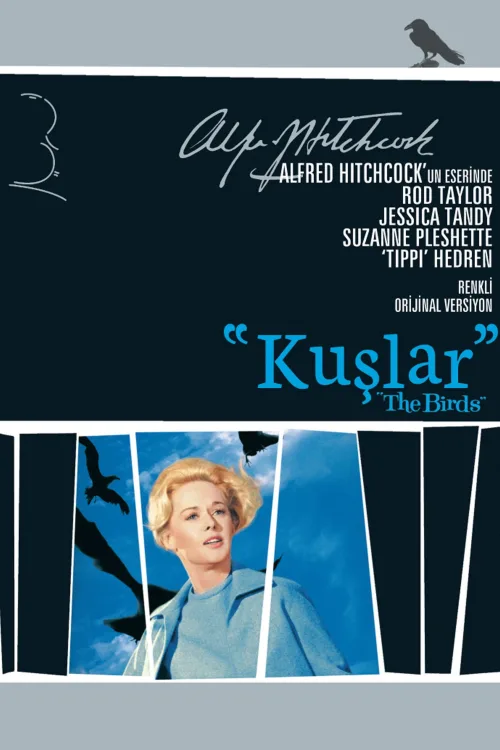 Kuşlar İndir posteri