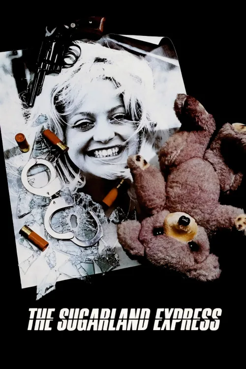 The Sugarland Express İndir posteri