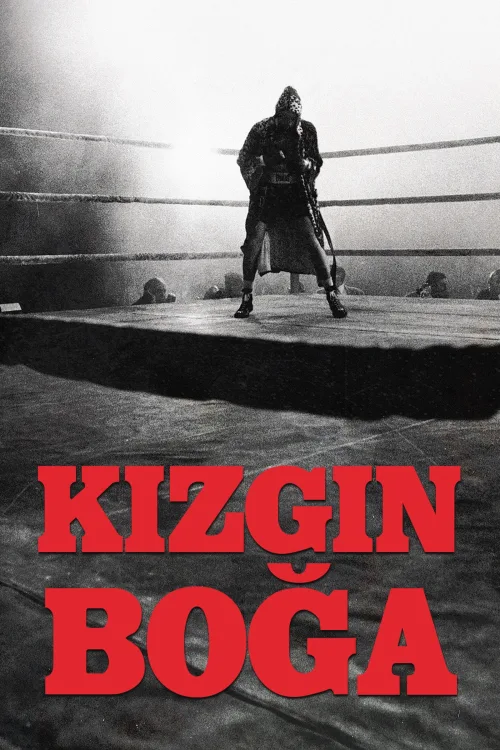 Kızgın Boğa İndir posteri