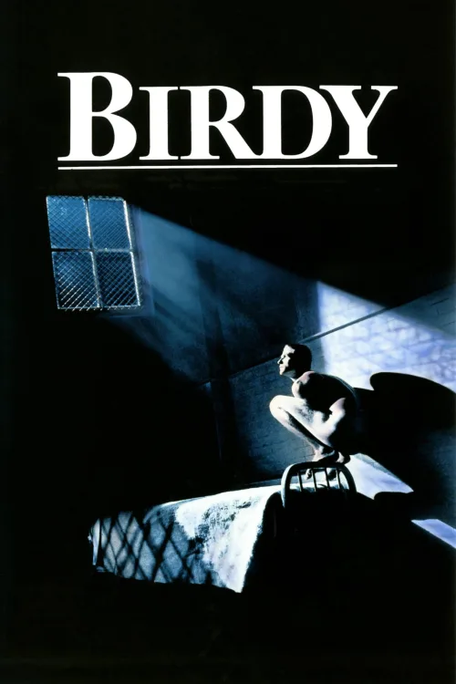 Birdy İndir posteri