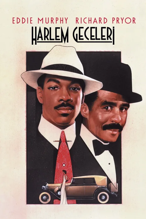Harlem Geceleri İndir posteri