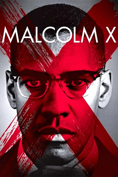Malcolm X İndir posteri