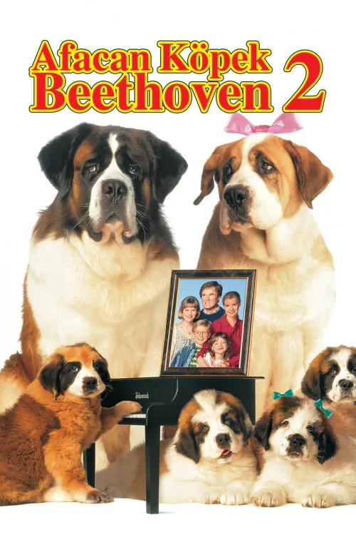 Afacan Köpek Beethoven 2 İndir posteri