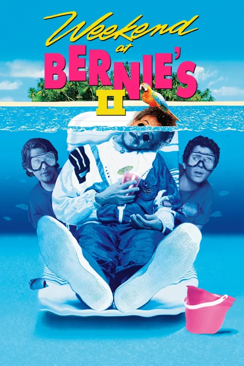 Çılgın Tatil 2 İndir posteri