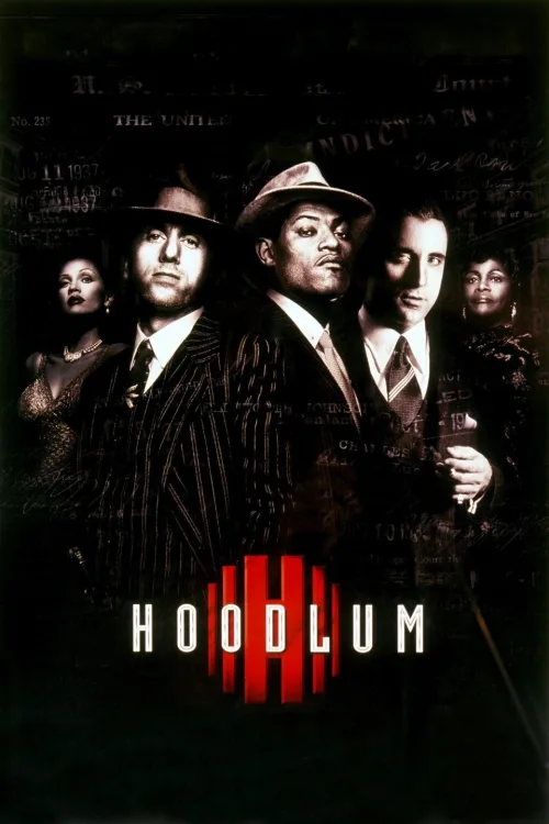 Hoodlum İndir posteri